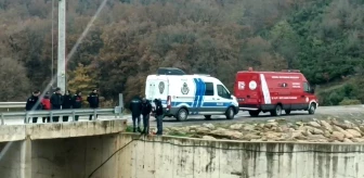 Gebze'de Mantar Toplamak İçin Giden Vatandaş, Cinayet Kurbanının Cesedini Buldu