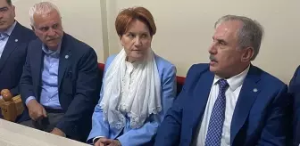 İYİ Parti İstanbul Milletvekili Salim Ensarioğlu, Şeyh Said açıklamaları nedeniyle disipline sevk edildi