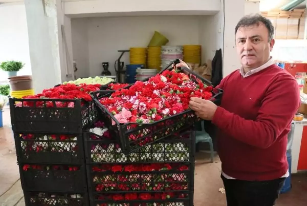 Türkiye'de Kesme Çiçek Tüketimi Avrupa Ülkelerinin Gerisinde Kalıyor