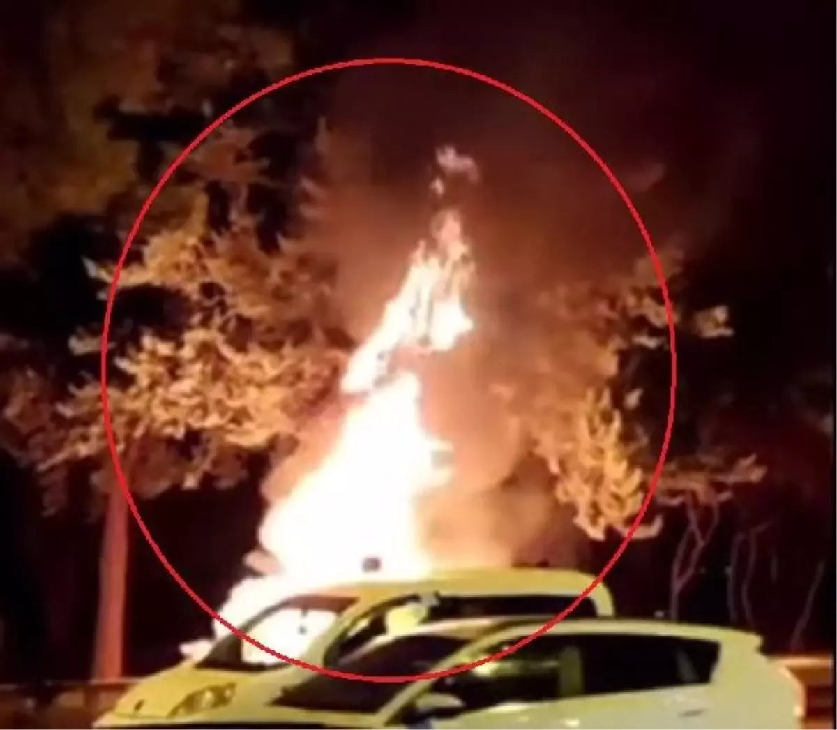 Diyarbakır'da Parkta Çıkan Yangın Kontrol Altına Alındı