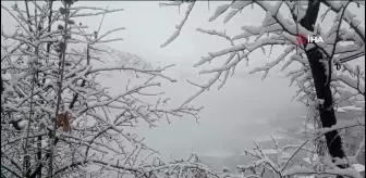 Hakkari'de Kar Yağışı ve Sis Etkili Oldu