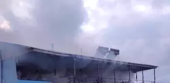 Bitlis'te İş Yerinde Çıkan Yangın Hasara Neden Oldu