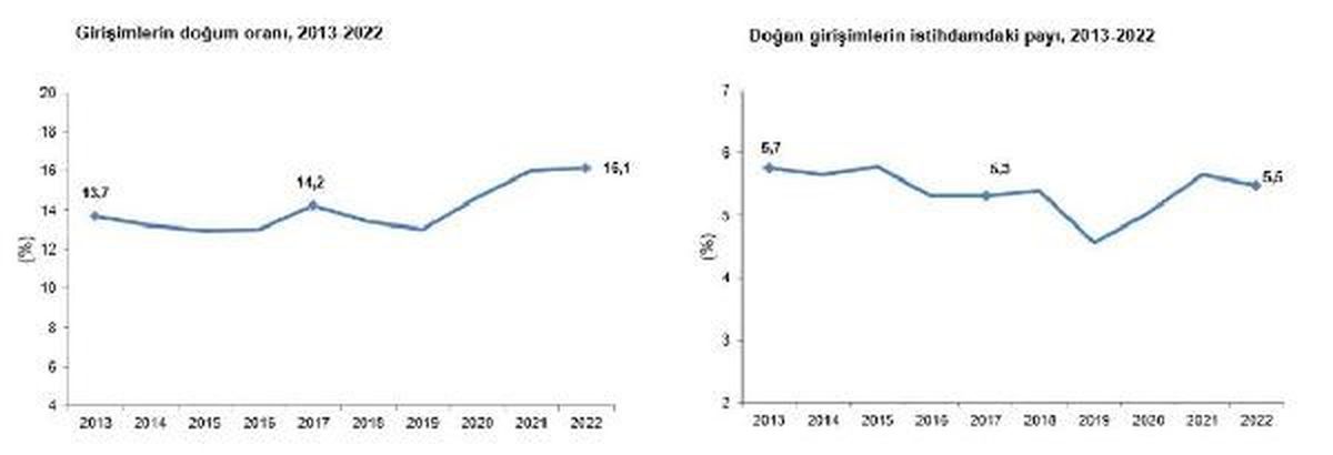 TÜİK: Girişimlerin Doğum Oranı Yükseldi, İstihdam Payı Düştü