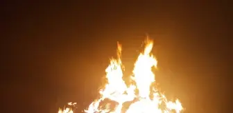 Bilecik'te Saman Balyaları Yandı