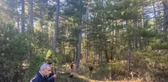 Muğla'da Mantar Toplamaya Giden Kadın Ormanda Ölü Bulundu