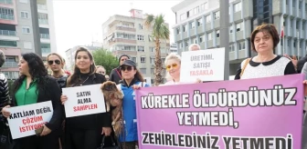 Aydın'da Tilki ve Köpeklerin Zehirle Öldürüldüğü İddialarıyla İlgili Hayvan Hakları Derneği Basın Açıklaması Yaptı