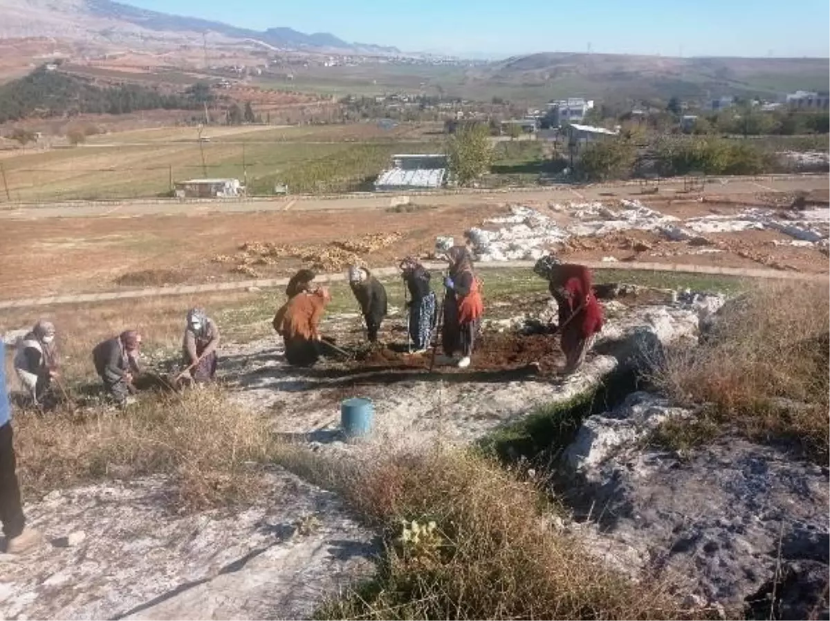 Perre Antik Kenti'nde Kadın Personeller İlk Kez Kazı Çalışmalarına Katılıyor