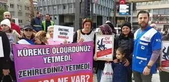 Nazilli ve Köşk'te Hayvan Katliamı Protesto Edildi