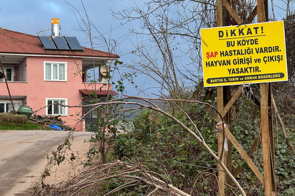 Bartın'da Şap Hastalığı Nedeniyle 12 Köye Hayvan Giriş-Çıkışı Kısıtlandı
