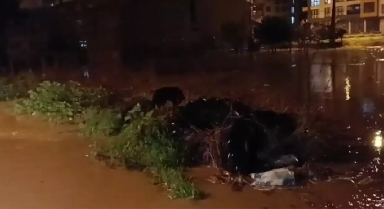 Çanakkale'de Sağanak Nedeniyle Dere Taştı