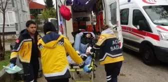 Keşan'da köpek saldırısında 1 ölü, 1 yaralı