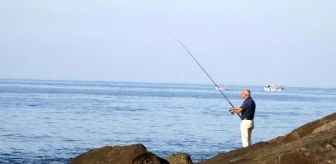 Prof. Dr. Mehmet Kocabaş: Olta balıkçılığı ücrete tabi tutulmalı