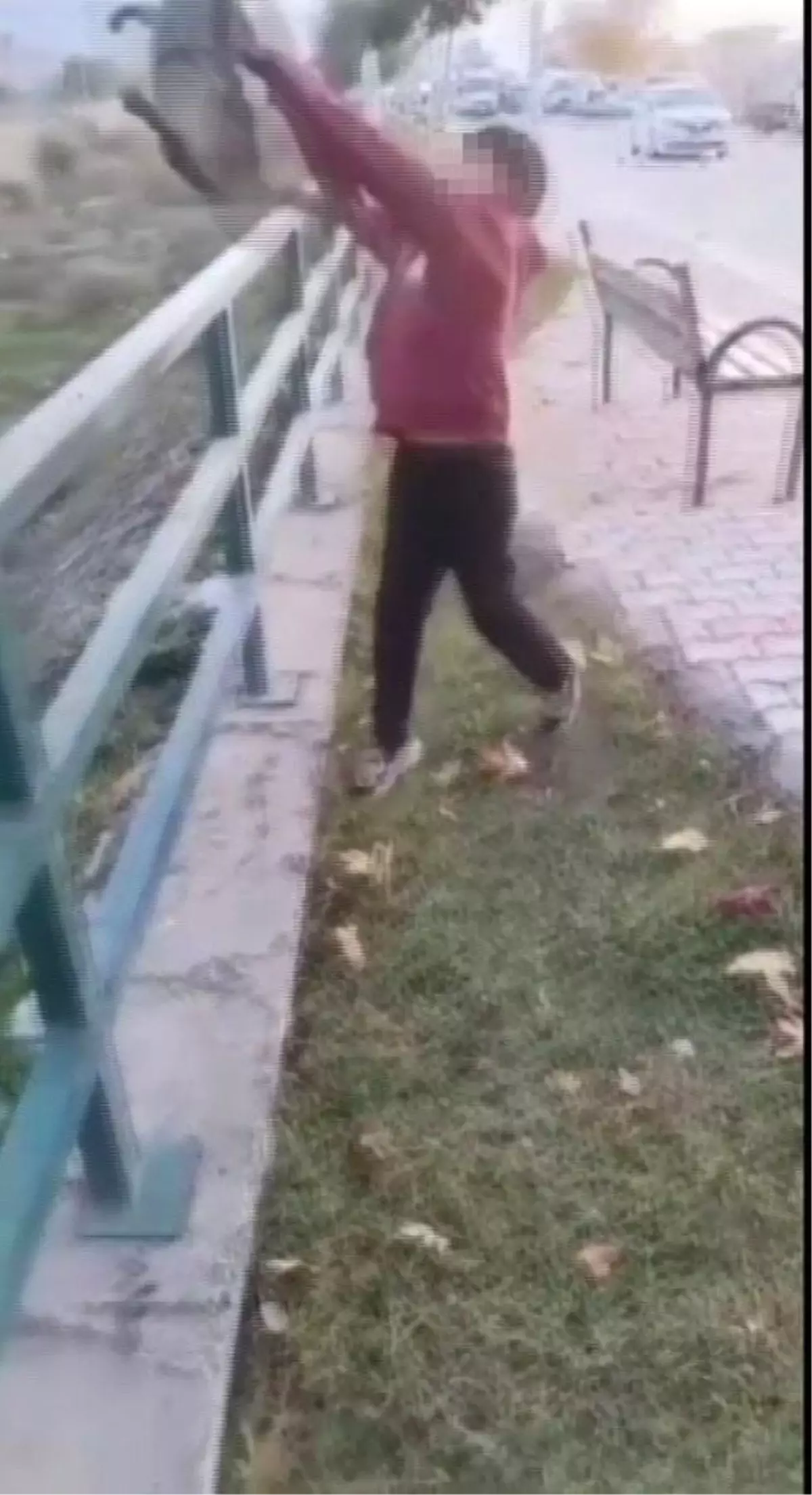 Hatay'da Kedi İşkencesi Yapanlar Gözaltına Alındı