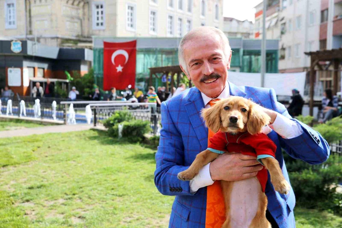 Bayrampaşa Belediyesi Sokak Hayvanları İçin Yeni Bir Hayvan Barınağı İnşa Ediyor