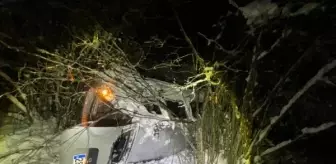 Giresun'da karlı yolda kaza: 1 ölü, 3 yaralı
