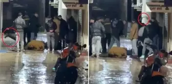 Önce tekmediler sonra kemerle dövdüler! Kocaeli'de eğlence mekanında yaşanan kavga kamerada
