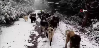 Sakarya'nın yüksek kesimleri beyaza büründü