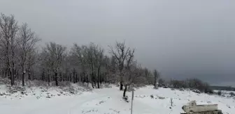 Tekirdağ'ın yüksek kesimlerine kar yağdı