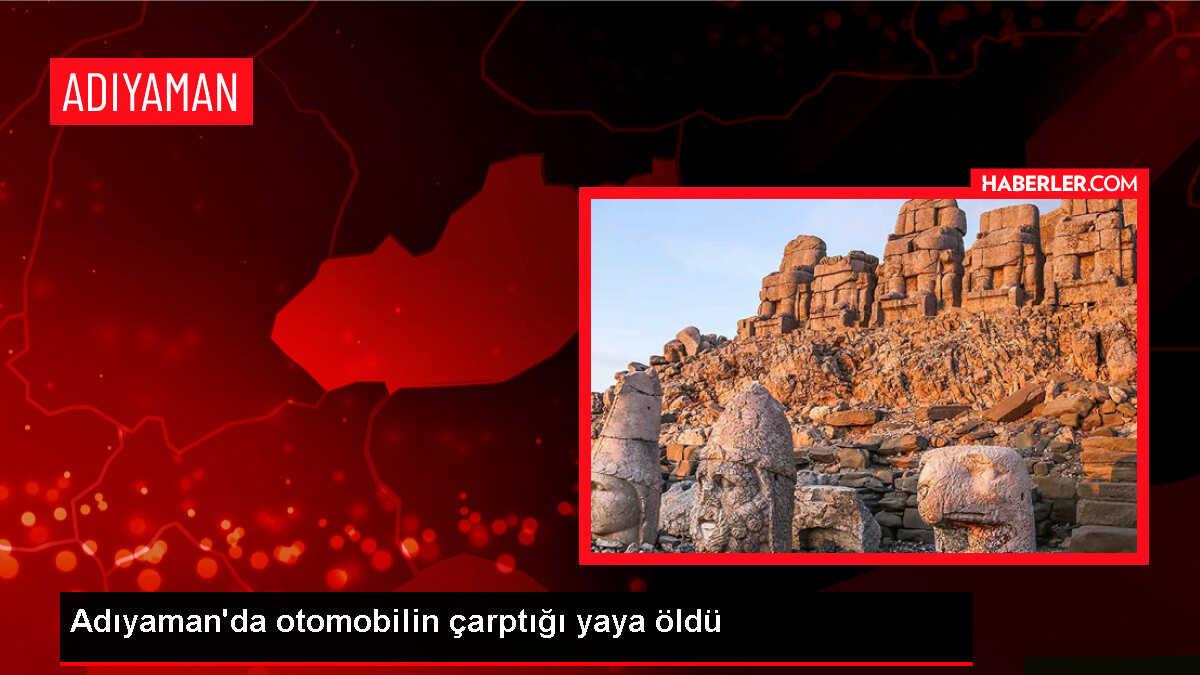 Adıyaman'ın Besni ilçesinde otomobilin çarptığı yaya hayatını kaybetti