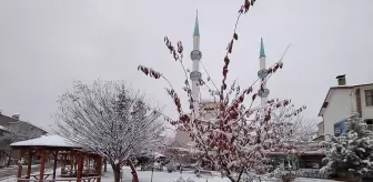 Tokat'ın Başçiftlik ilçesinde kar yağışı