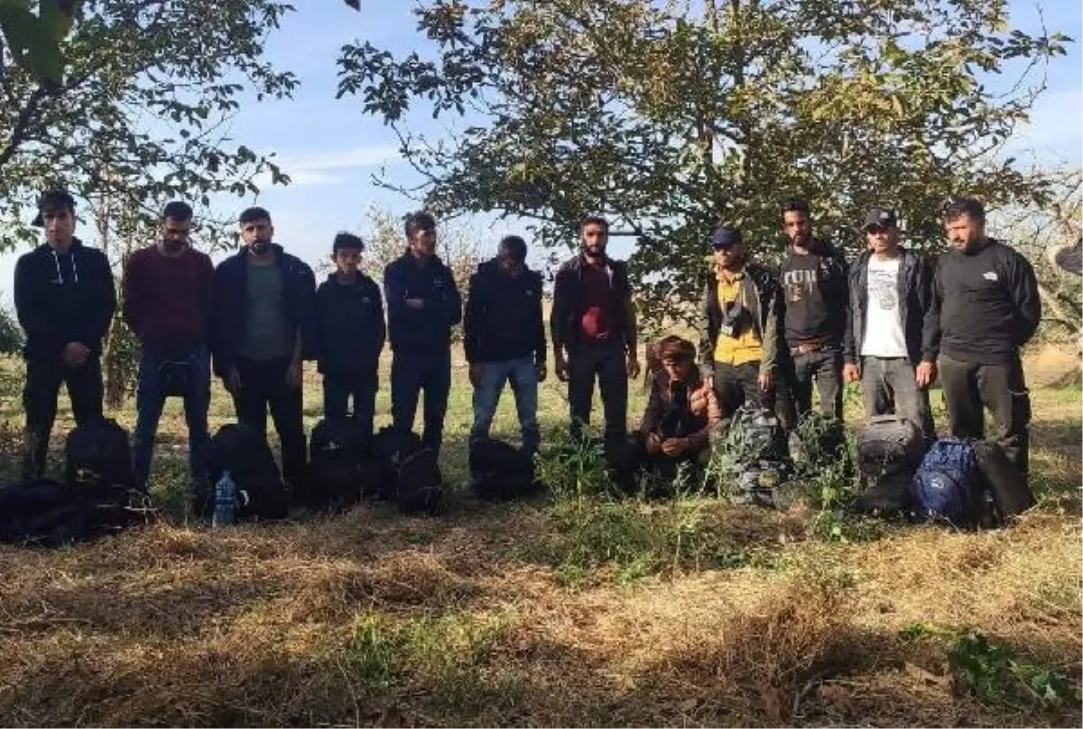 Edirne'de 1209 Kaçak Göçmen Yakalandı