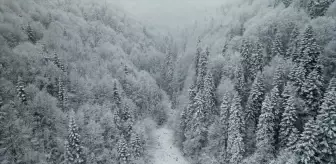 Kastamonu'nun yüksek kesimlerinde kar yağışı ve sis etkili oldu