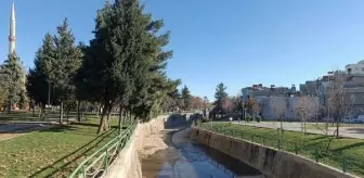 Gaziantep'te Dere Kenarında Bebek Cesedi Bulundu