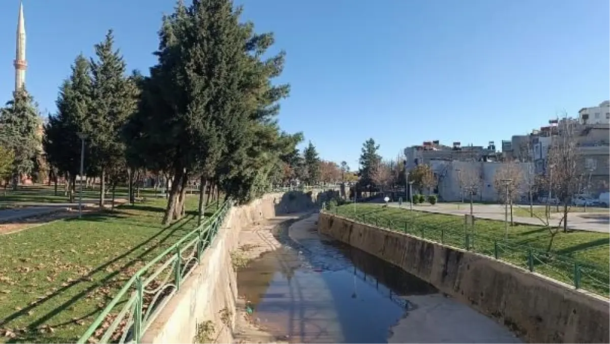 Gaziantep'te Dere Kenarında Bebek Cesedi Bulundu
