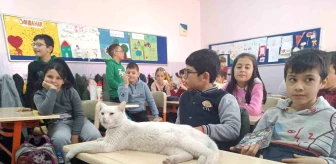 Eskişehir'deki İlkokulda Kedi Derslere Giriyor