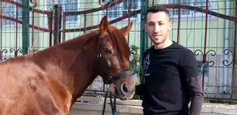 Siirt'te Rahvan At Yetiştiriciliği Geleneği Sürüyor