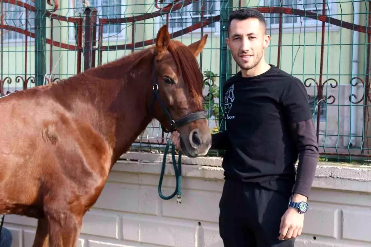Siirt'te Rahvan At Yetiştiriciliği Geleneği Sürüyor