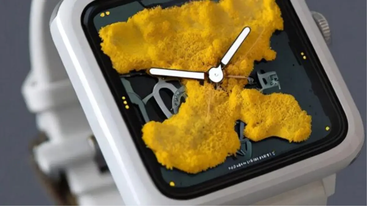 Canlı bir cihaz: Balçık küfüyle çalışan akıllı saat