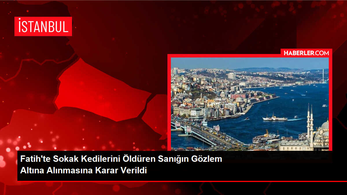 Fatih'te Sokak Kedilerini Öldüren Sanığın Gözlem Altına Alınmasına Karar Verildi