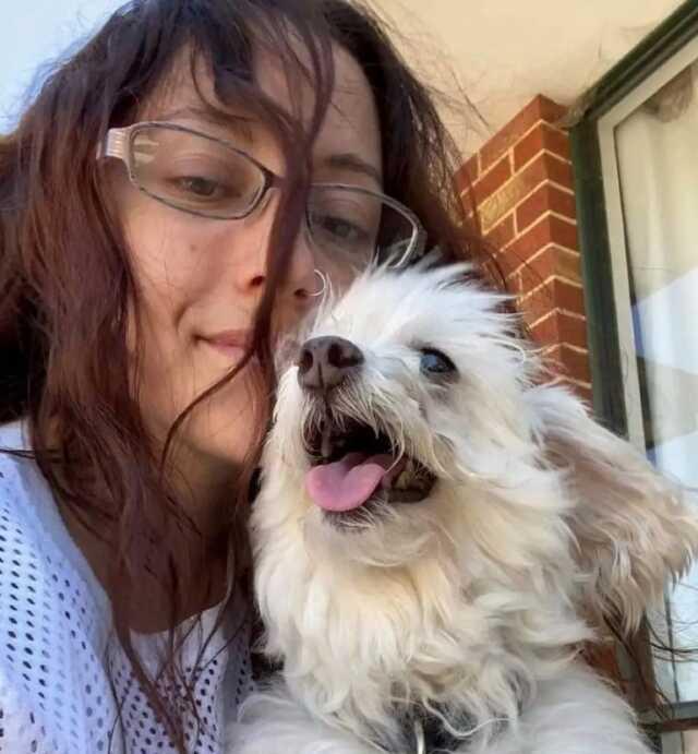 Köpeğini bir alışveriş merkezinin çatısından atıp öldürdü. Köpeğin iyiliği için yaptığını söyleyerek kendini savundu