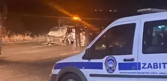 Mardin'de otomobilin çarptığı atlar öldü, 5 kişi yaralandı