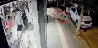 Ankara'da bir genç başıboş köpeğin saldırısına uğradı