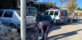 Kilis Belediyesi Zabıta Müdürlüğü Sokak Hayvanlarına Mama ve Su Dağıtıyor