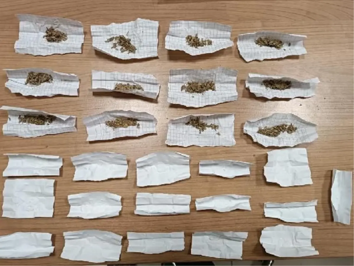 Van'da Torbacılara Operasyon: 12 Şüpheli Gözaltına Alındı