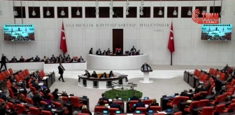 İYİ Parti Milletvekili Fakıbaba, akademisyenlerin yaşadığı sorunları gündeme getirdi