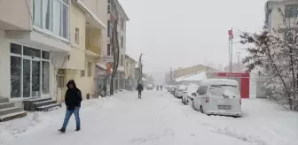 Kar ve tipi nedeniyle Bingöl'ün Karlıova ilçesinde 23 yerleşim yerine ulaşım sağlanamıyor