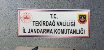 Hayrabolu ve Malkara'da Tabanca ve Tarihi Eser Operasyonu