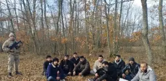 Edirne'de 262 Kaçak Göçmen Yakalandı