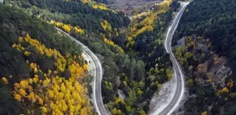 Ilgaz Dağı nerede, hangi ilçede? Ilgaz Dağı kaç metre?