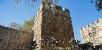 Antalya Üçkapılar'ında Güvercinlerin Dışkısı Yapıya Zarar Veriyor