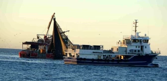 Karadeniz'de Hamsi Bolluğu: Türk Tekneleri Gürcistan'a Yöneldi