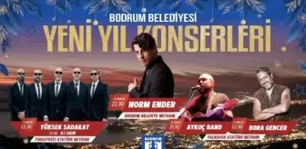 Bodrum Belediyesi, yılbaşı etkinliklerini şehitler dolayısıyla iptal etti