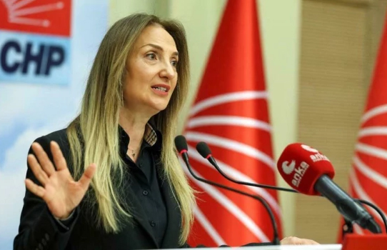 CHP Genel Başkan Yardımcısı Aylin Nazlıaka.