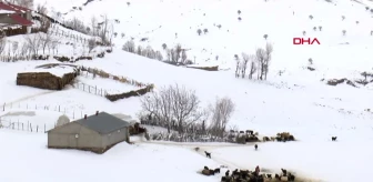 Muş'ta Yukarıyongalı köyü beyaz örtüyle kaplandı