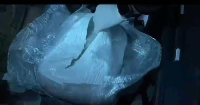 41 ilde düzenlenen operasyonda 1 Ton 480 kilogram uyuşturucu madde ele geçirildi 41 ilde düzenlenen operasyonda 1 Ton 480 kilogram uyuşturucu madde ele geçirildi