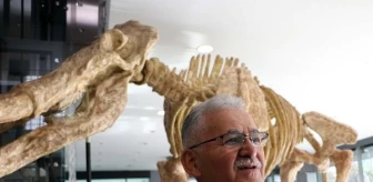 Kayseri'deki 7,5 Milyon Yıllık Fosiller Sergilenecek